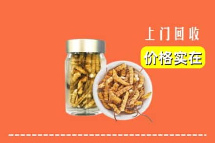 收购资讯:阿合奇县回收散虫草