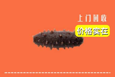 收购资讯:阿合奇县回收海参