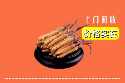 阿合奇县回收冬虫夏草